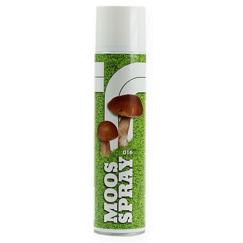 Floristik24 Mosspray 400ml