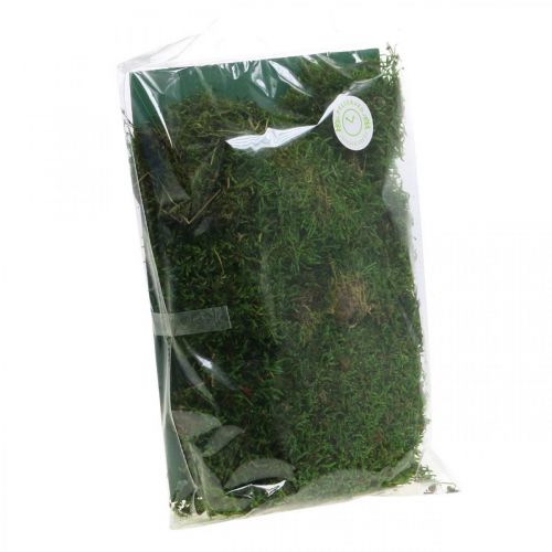 Floristik24 Decoratief mos voor knutselen groen, donkergroen 100g