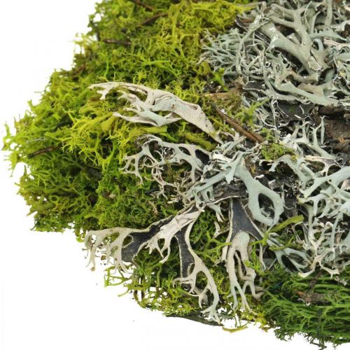 Artikel Decoratief mos voor knutselen Moss en korstmos mix groen, grijs 100g