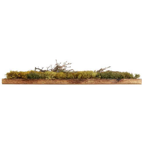 Artikel Mosfoto geconserveerd echt mos en natuurlijke takken 60×40cm