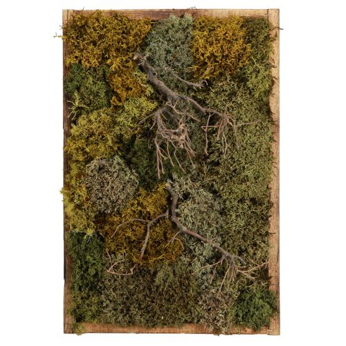 Artikel Mosfoto geconserveerd echt mos en natuurlijke takken 60×40cm