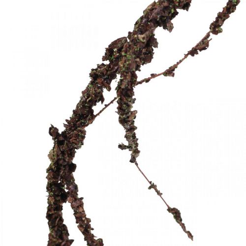 Floristik24 Mosslinger Bruin L180cm
