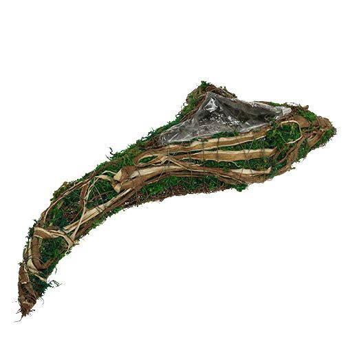 Floristik24 Moshart voor opplant L65cm B28cm