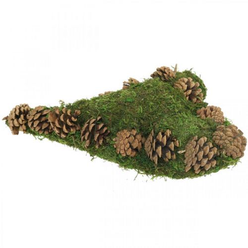 Floristik24 Grafdecoratie hart mos en kegels arrangement basis 30 × 19cm