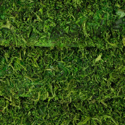 Artikel Decoratieve moskrans voor seizoensarrangementen en individuele ontwerpen, 15 cm, 6 stuks