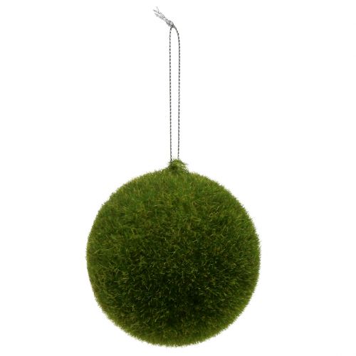 Floristik24 Mosbal Ø6cm groen 12st