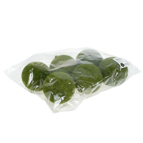 Floristik24 Mosbal Ø8cm groen 6st