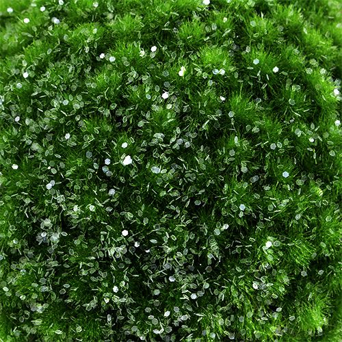 Floristik24 Mosbal groen met mica Ø15cm