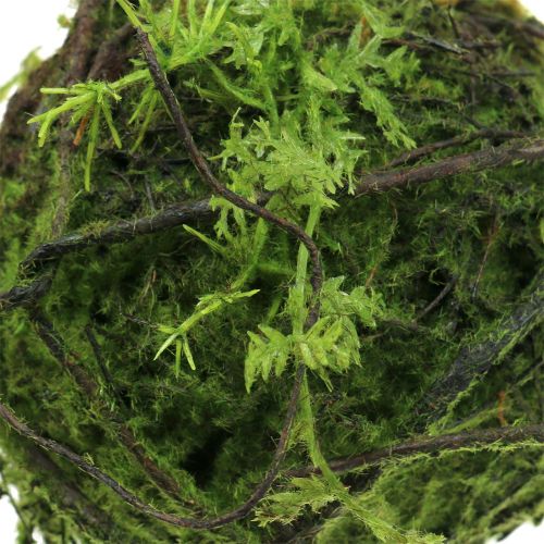 Floristik24 Mosbal Kokedama kunstgroen Ø13cm
