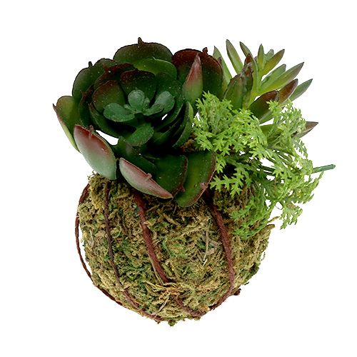 Floristik24 Kokedama Kunstgroen Ø7cm