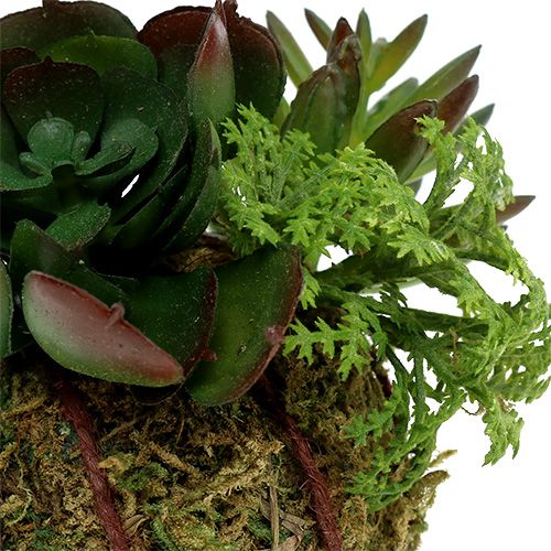 Floristik24 Kokedama Kunstgroen Ø7cm