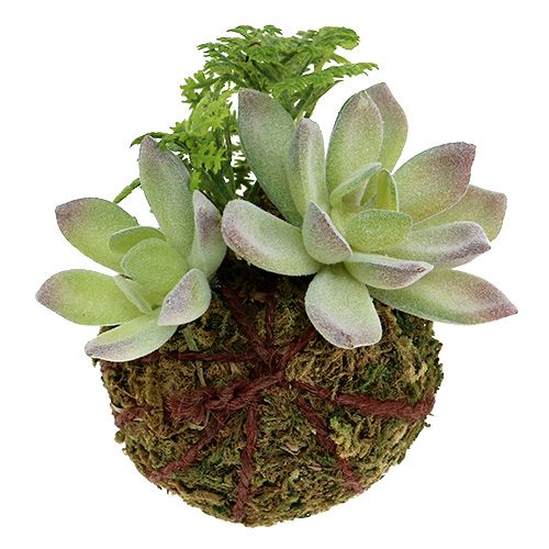 Floristik24 Kokedama Kunstgroen Ø8cm