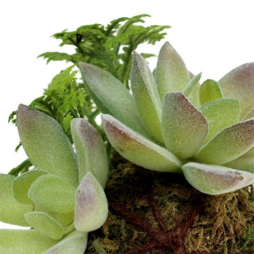 Floristik24 Kokedama Kunstgroen Ø8cm