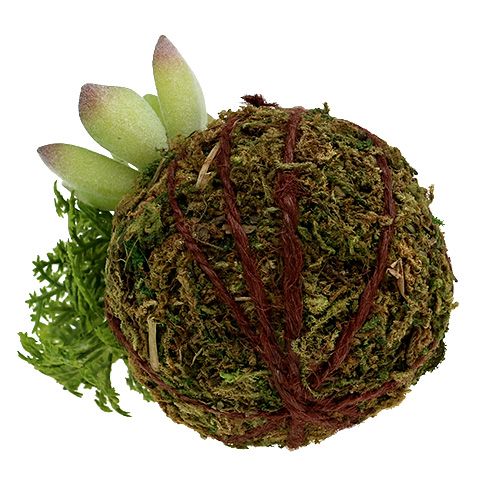 Floristik24 Kokedama Kunstgroen Ø8cm