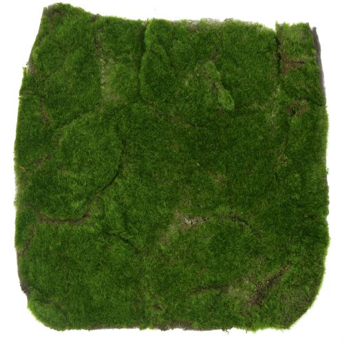 Artikel Mosmat Groen 35cm x 35cm