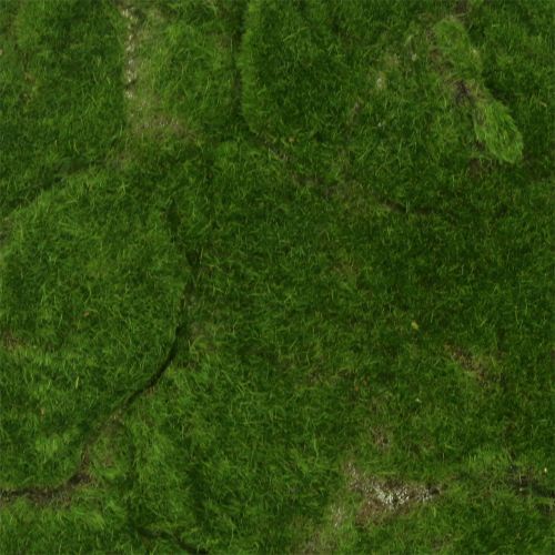 Floristik24 Mosmat Groen 35cm x 35cm