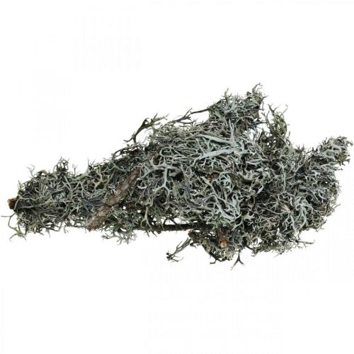 Artikel Deco twijgen eikenmos mos deco korstmossen natuurlijke decoratie 750g
