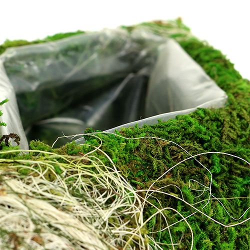 Floristik24 Moss kussen ruit 34cm x 19cm 2st