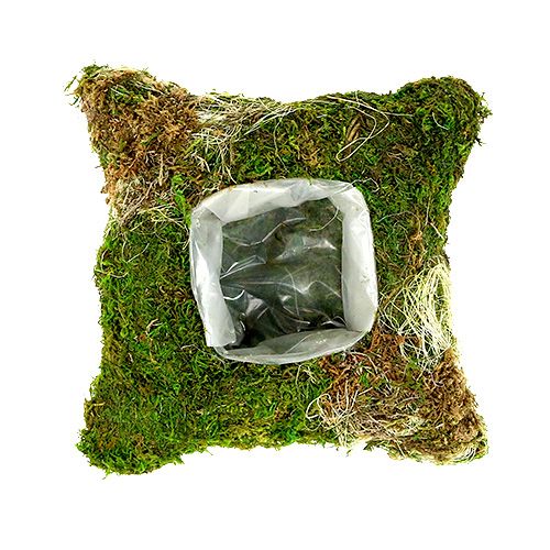 Mos kussen voor planten 20cm x 20cm 3 stuks