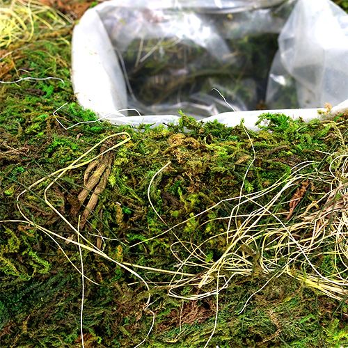 Floristik24 Mos kussen voor planten 20cm x 20cm 3 stuks