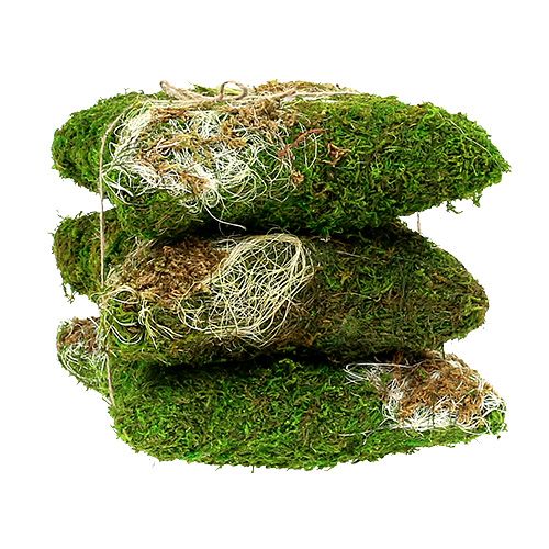Floristik24 Mos kussen voor planten 20cm x 20cm 3 stuks