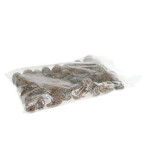 Floristik24 Murii kegels naturel 500g