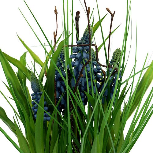 Floristik24 Muscari in een pot blauw H 30cm