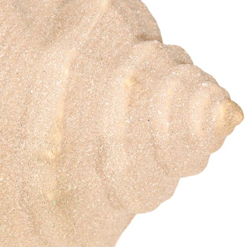 Artikel Schelpdecoratie Maritiem Keramiek Blauw Beige 16,5×11×9,5cm 2 st.