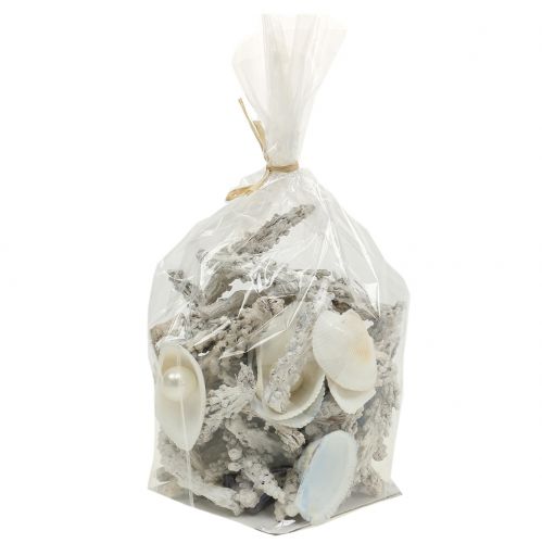Floristik24 Schelpenmix met parelmoer en wit hout 200g