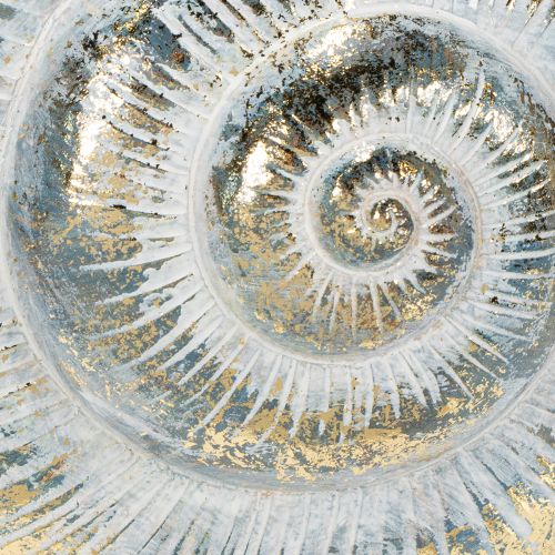 Artikel Decoratieve slakvormige container voor maritieme en natuurlijke wanddecoratie, grijs, 21 cm