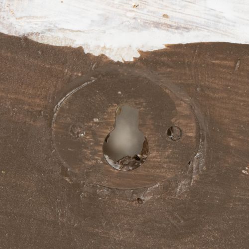 Artikel Decoratieve slakvormige container voor maritieme en natuurlijke wanddecoratie, grijs, 21 cm