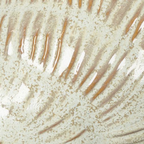 Artikel Keramische schaal met schelpmotief voor een elegante decoratie in de woonkamer, 23 cm