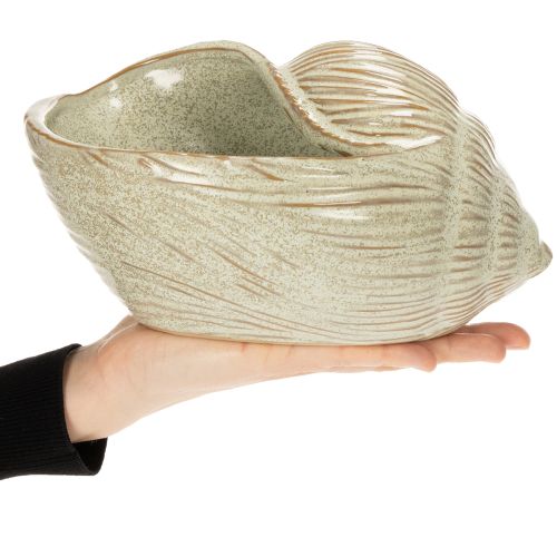 Artikel Keramische schaal met schelpmotief voor een elegante decoratie in de woonkamer, 23 cm