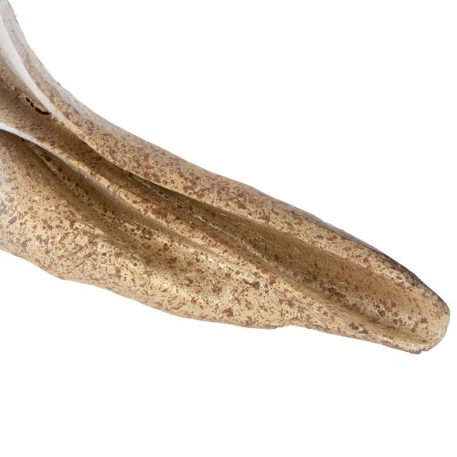 Artikel Decoratieve schelpvorm voor stijlvolle maritieme decoratie, 44 cm