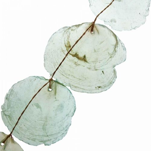 Floristik24 Schelpendeco Capiz Slinger Schelpenslinger Groen 100cm
