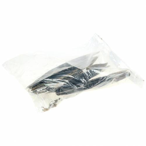 Floristik24 Pennenschalen zwart 24 – 30cm 1kg