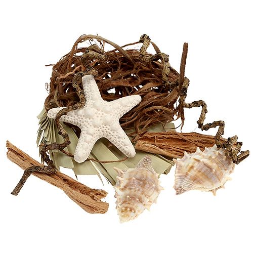 Floristik24 Schelp- en zeesterrenmix voor handwerk 150g