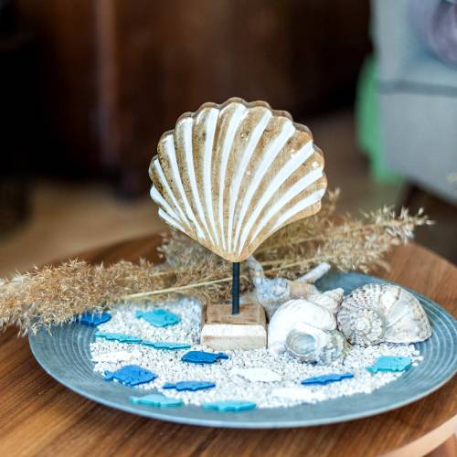 Floristik24 Schelp met onderstel hout wit, natuur 20×14cm Maritieme decoratie voor in de woonkamer