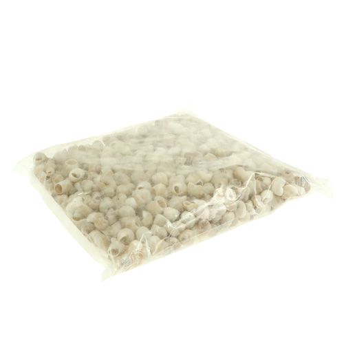 Artikel Mossel Umachi 500g