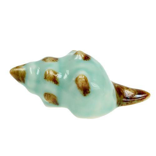 Floristik24 Porseleinen schelp soort. 9.5cm 2st