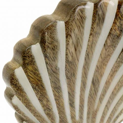 Floristik24 Schelp met onderstel hout wit, natuur 20×14cm Maritieme decoratie voor in de woonkamer