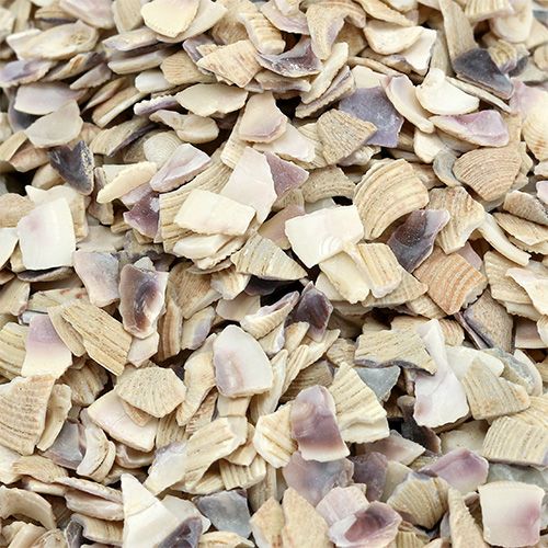 Artikel Schelpenkorrels 2mm - 3mm naturel 2kg