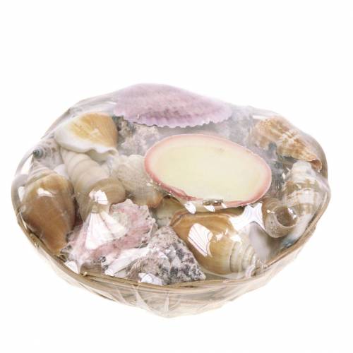 Floristik24 Schelpenmix in naturel mand Ø15cm 420g