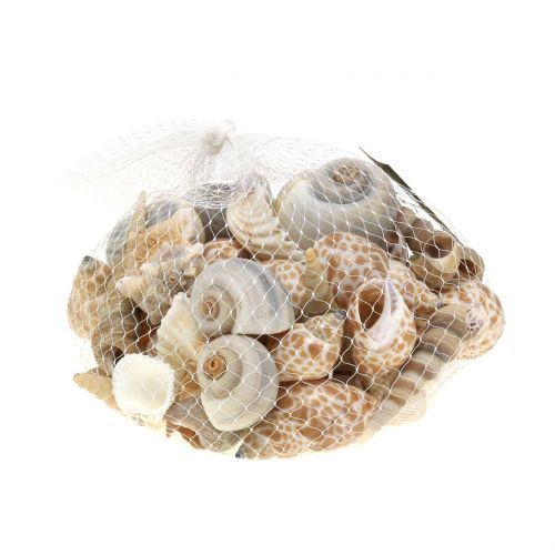 Floristik24 Shell mix naturel 500g