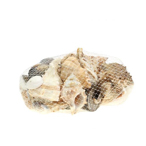 Floristik24 Schelpenassortiment naturel 500g