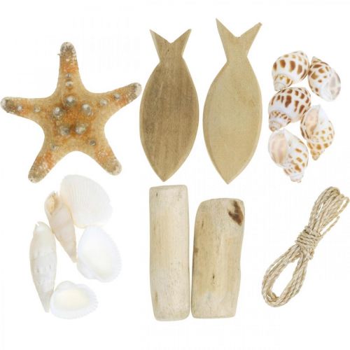 Floristik24 DIY-Box Maritiem Natuurlijke schelpen houten decoratieset assorti