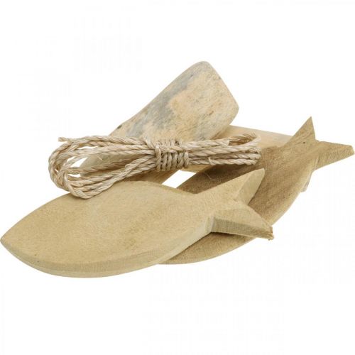 Floristik24 DIY-Box Maritiem Natuurlijke schelpen houten decoratieset assorti