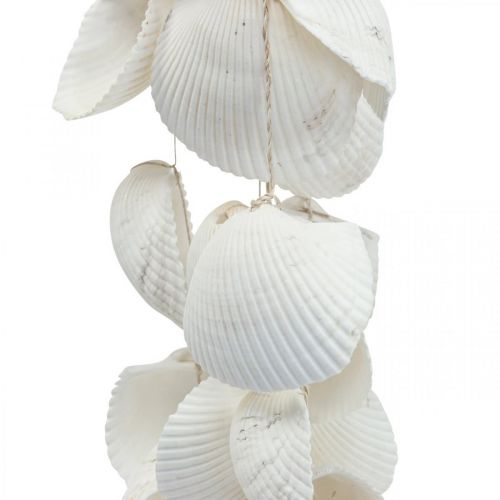 Floristik24 Schelpenslinger Maritieme decoratie schelpenslinger L87cm