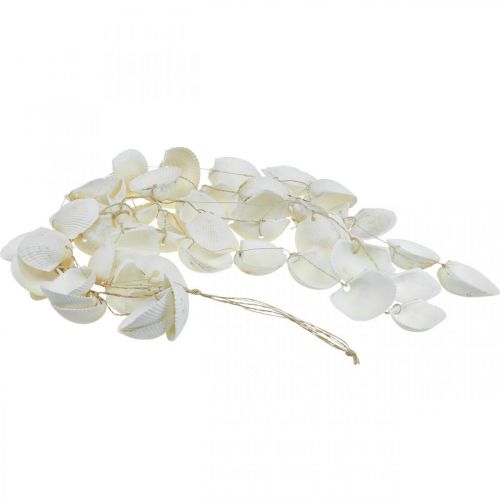 Floristik24 Schelpenslinger Maritieme decoratie schelpenslinger L87cm