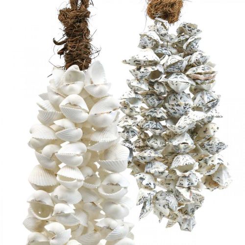 Floristik24 Schelpen schelpenketting schelpenhanger deco maritiem 2st